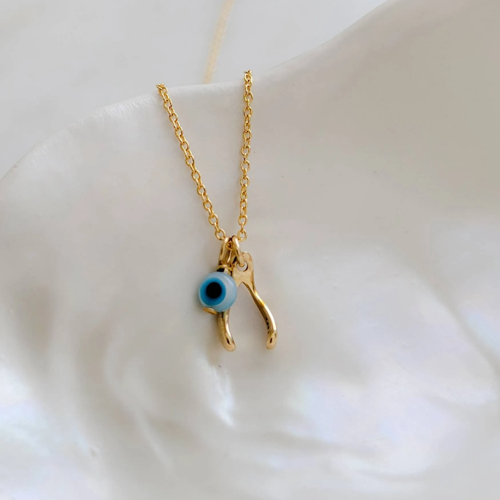 Tiny Wishbone & Evil Eye Necklace